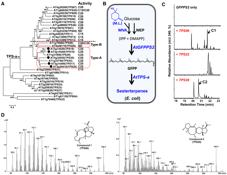 Figure 1