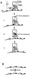 FIG. 10