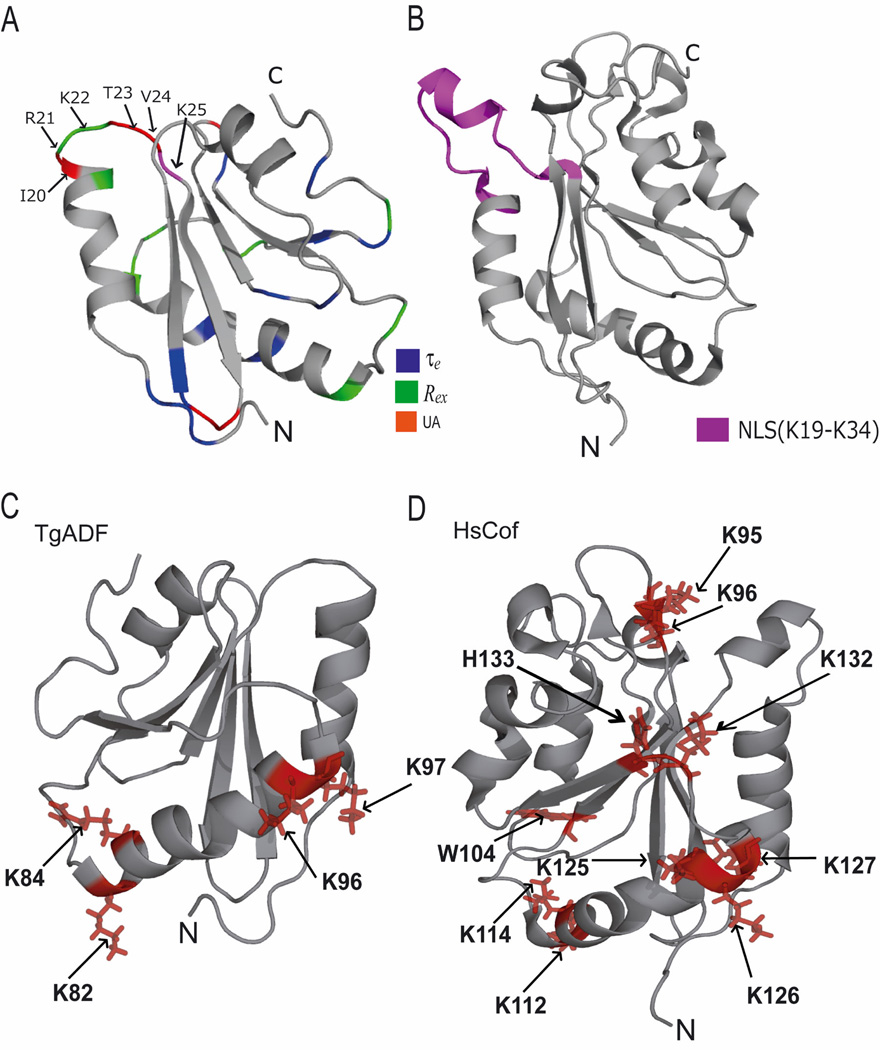 Figure 9