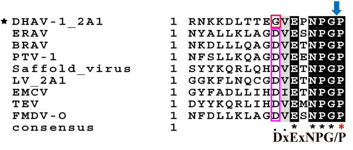 FIGURE 1