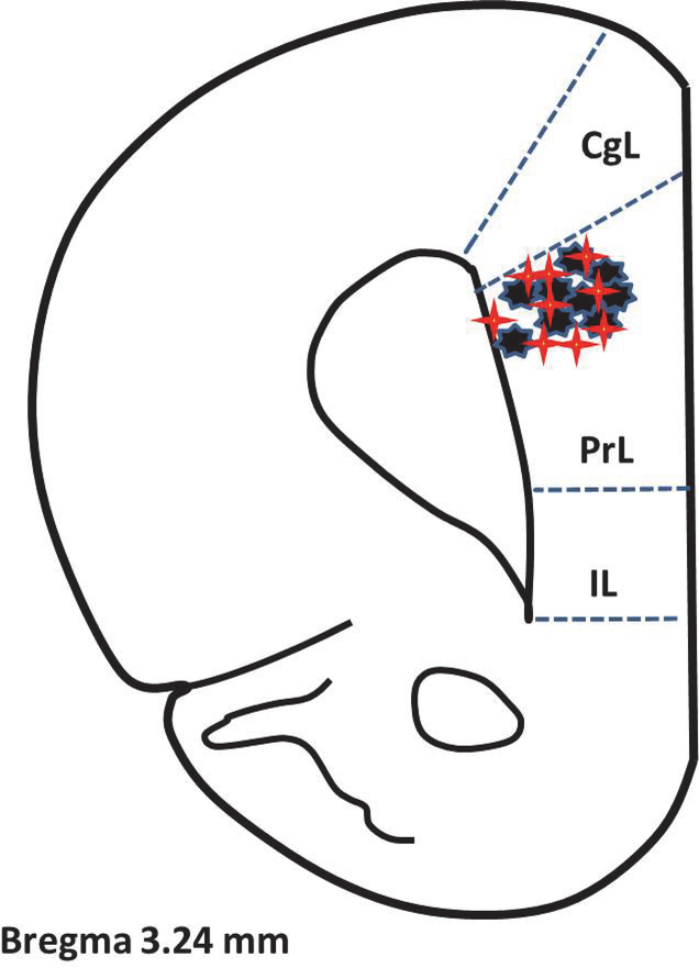 Figure 8.