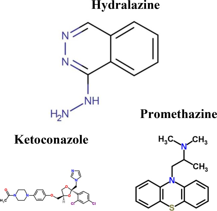 graphic file with name oncotarget-10-3760-i001.jpg