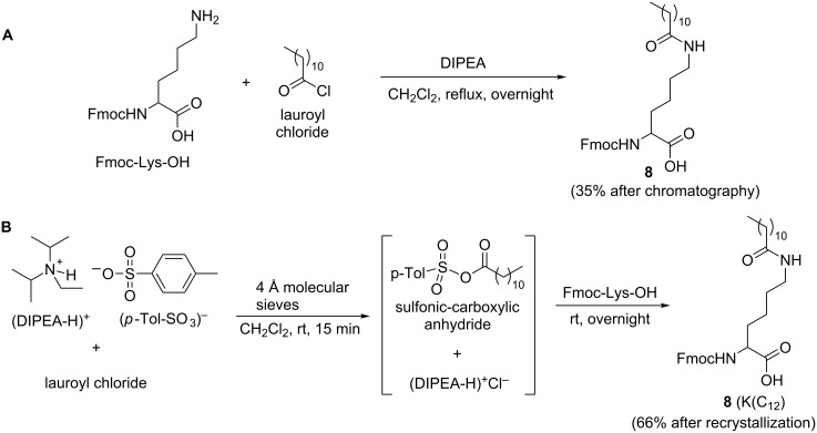 Scheme 3