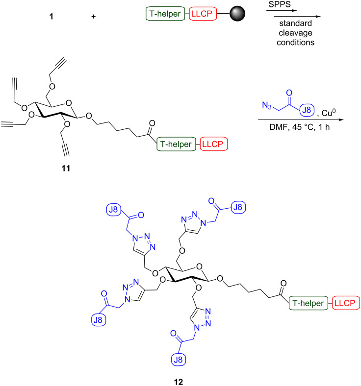 Scheme 5