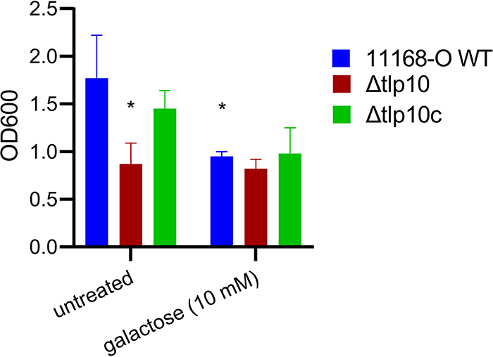 Fig. 6.