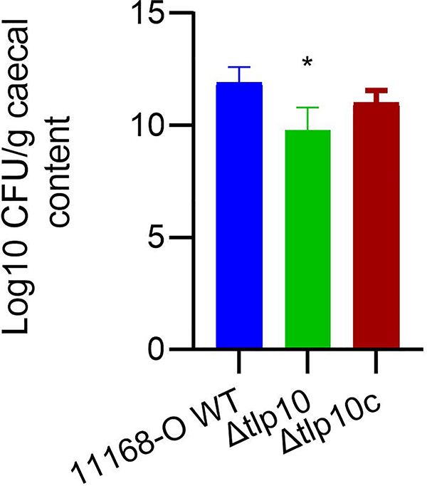 Fig 8.