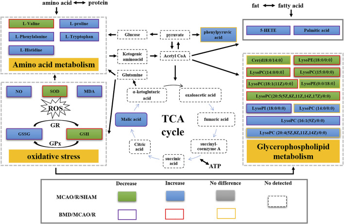 FIGURE 13