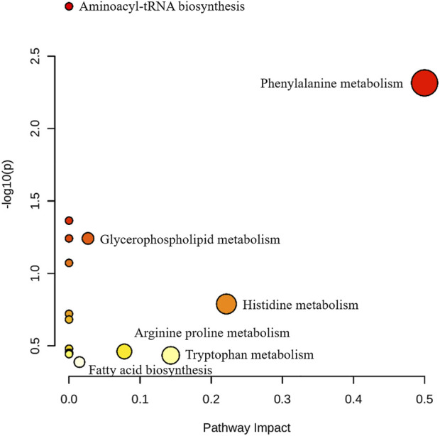 FIGURE 12