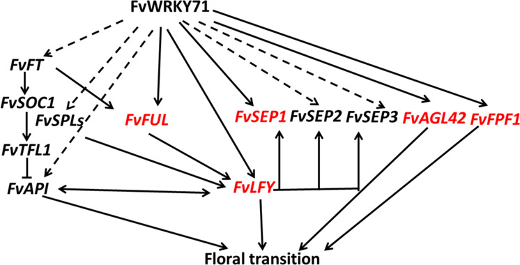 Fig. 8