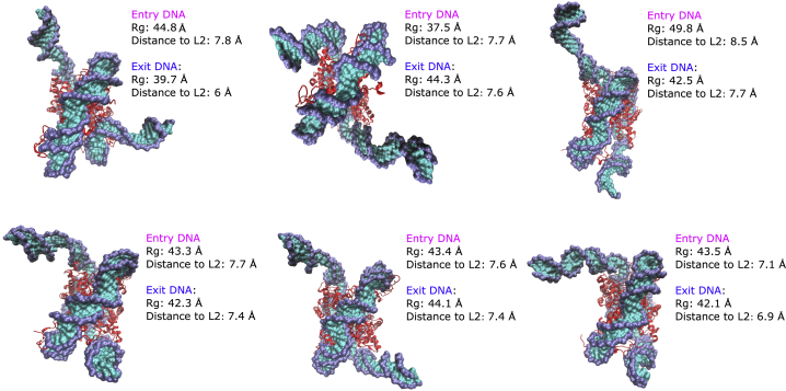 Figure 7