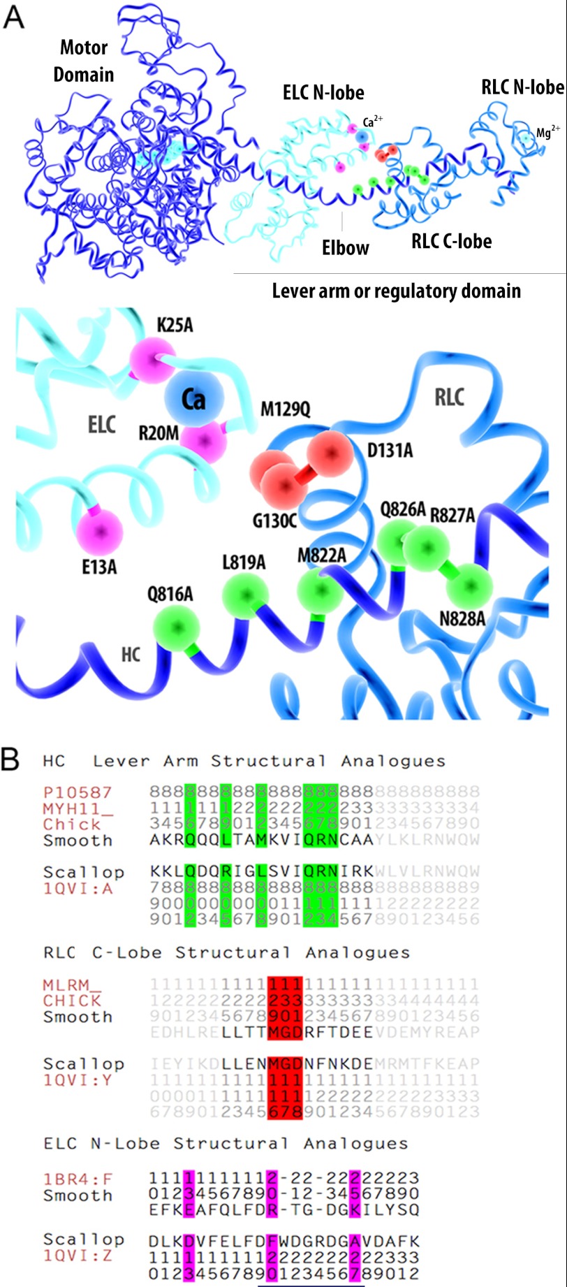 FIGURE 1.