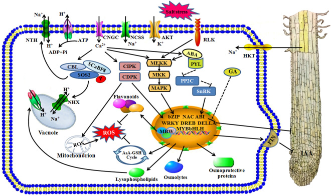 Figure 10