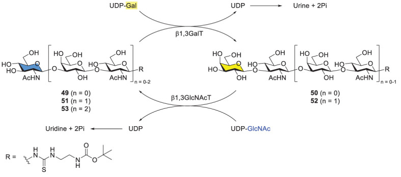 Scheme 8