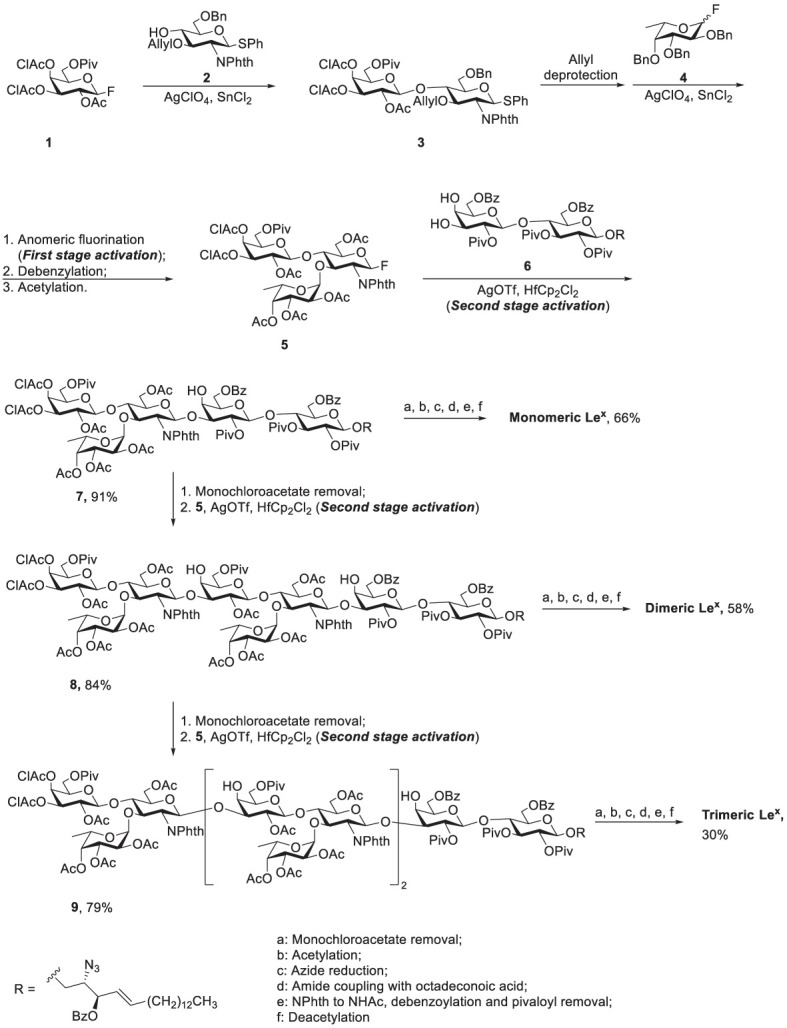 Scheme 1