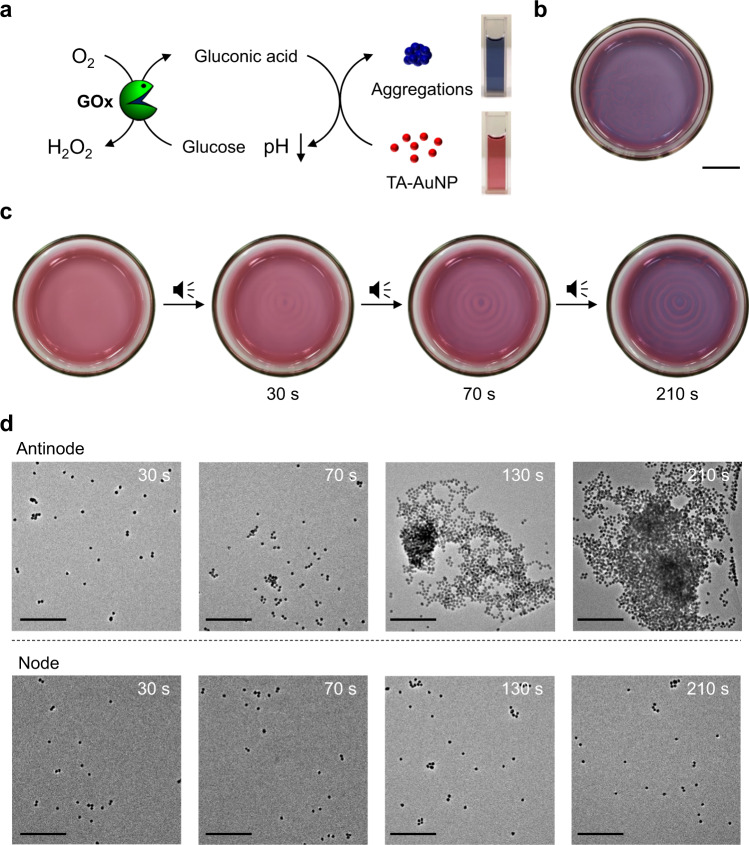 Fig. 4