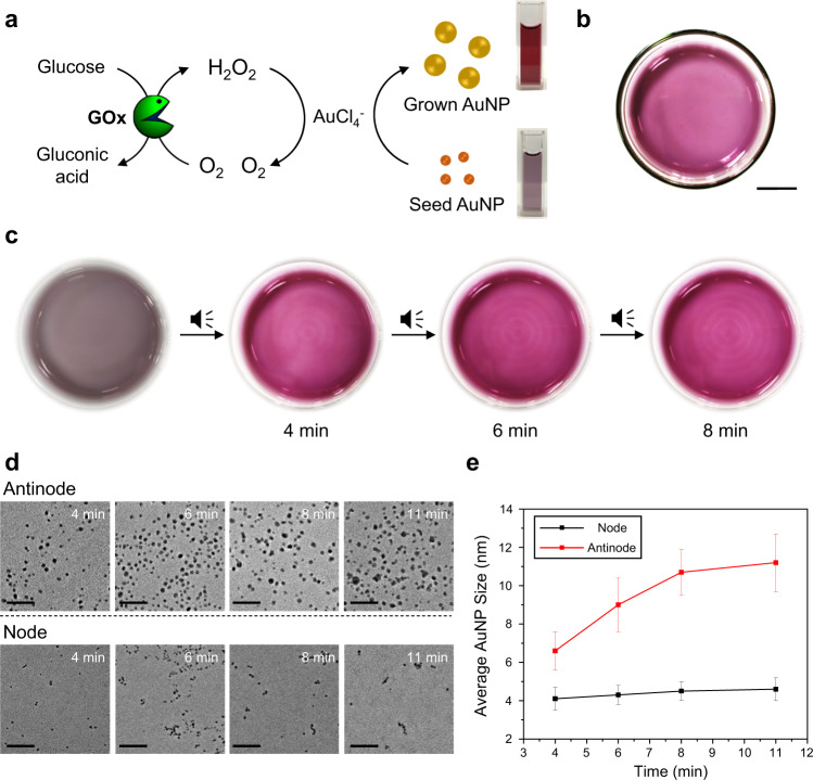 Fig. 3