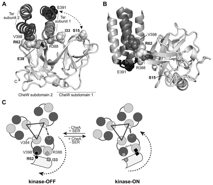 Fig. 5