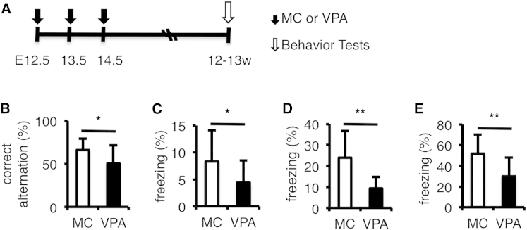 Figure 2