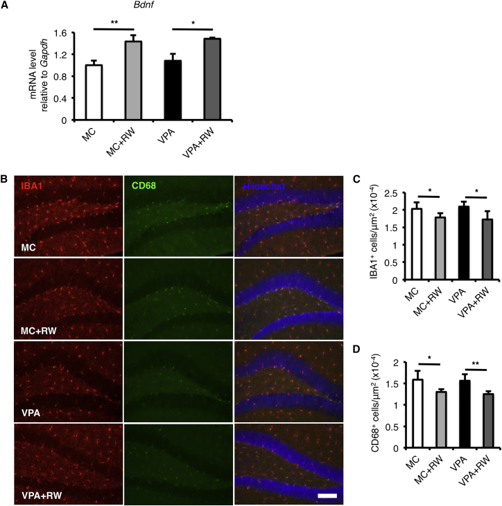 Figure 6