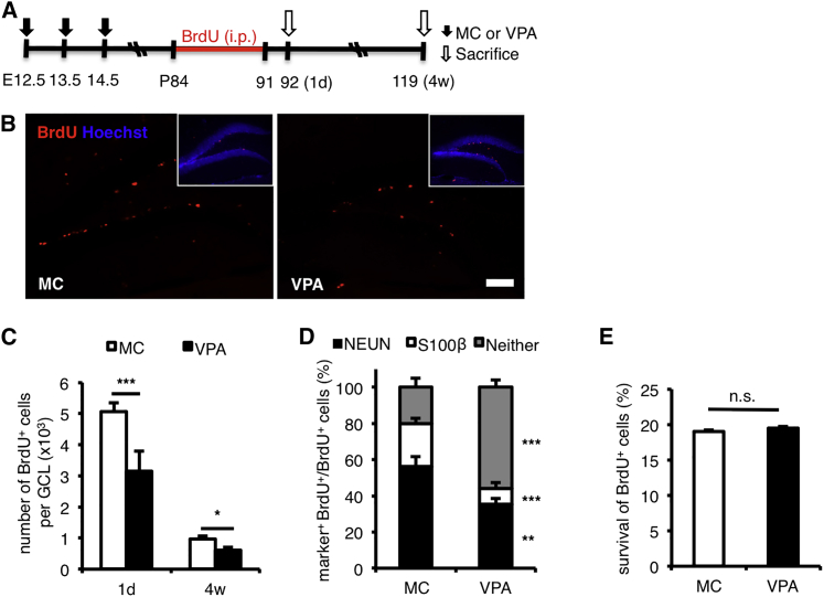 Figure 3