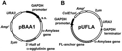 FIG. 1.