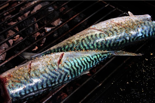 Photograph of king mackerel cooking on a grill