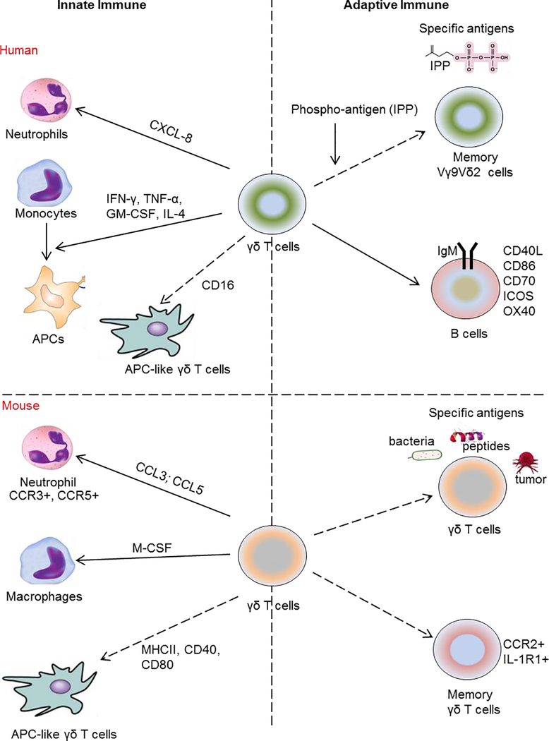 Figure 2: