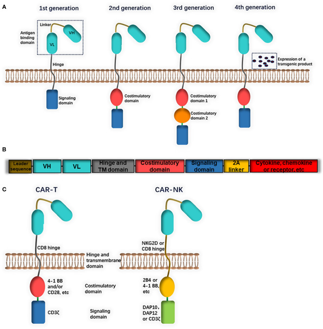 Figure 1