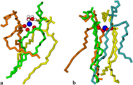 FIGURE 11