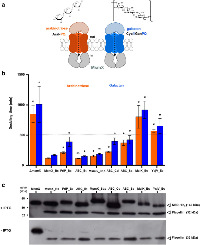 Figure 2