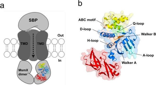 Figure 5