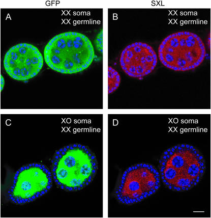 Figure 2.—