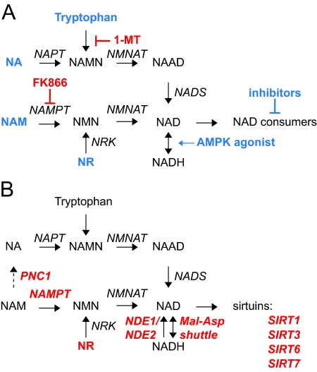 Figure 10