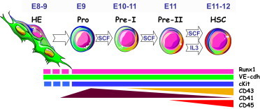 Figure 6