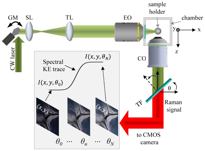 Fig. 3