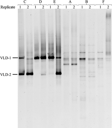 Fig. 6