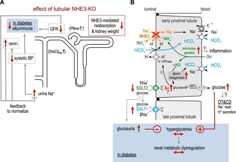 Fig. 10.