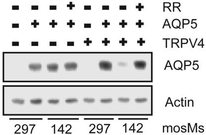 Fig. 9.