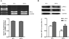 FIGURE 4: