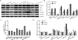 FIGURE 10: