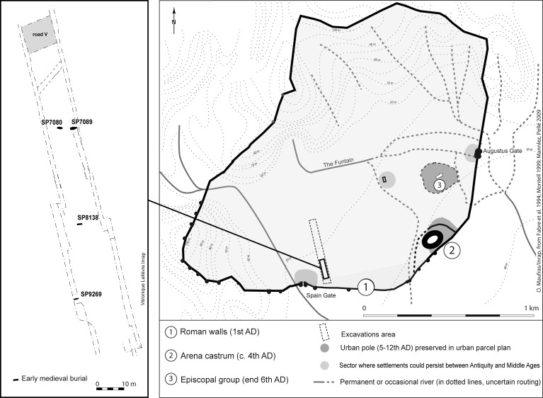 Fig 2