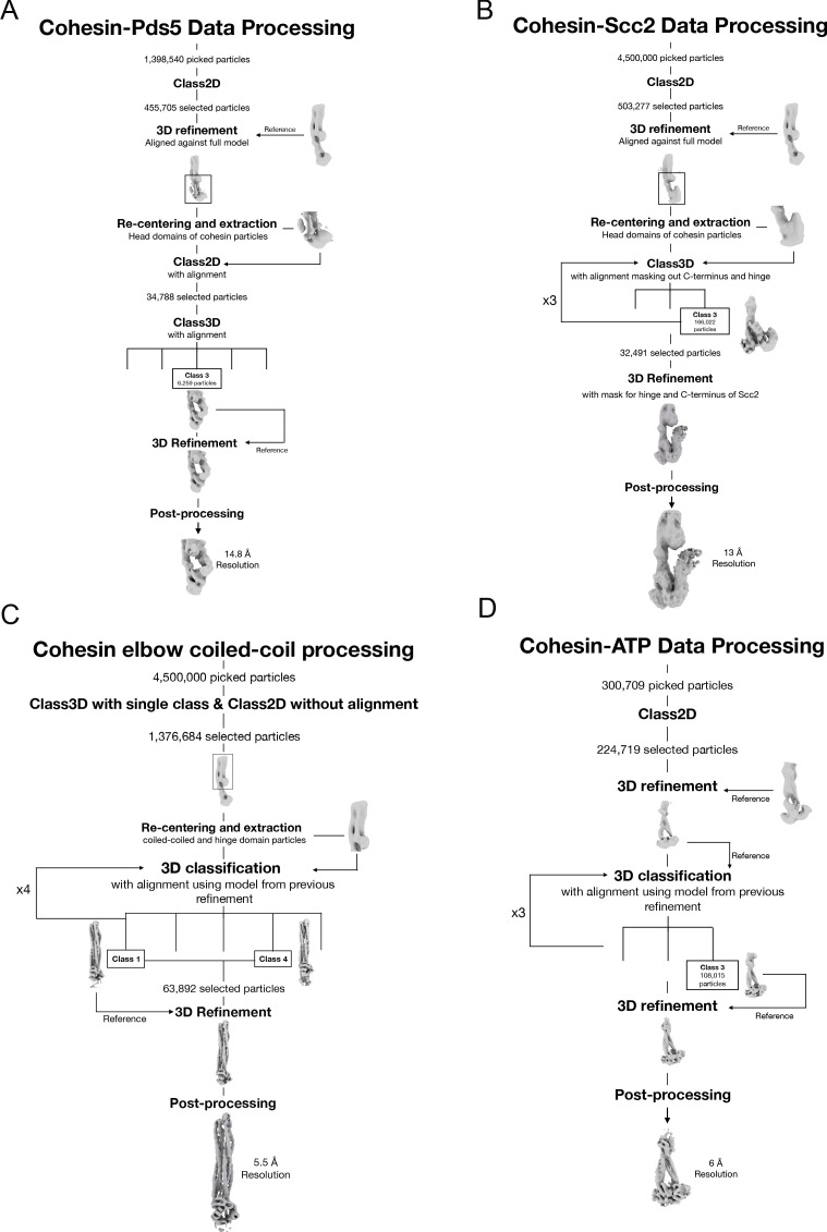 Figure 5—figure supplement 2.