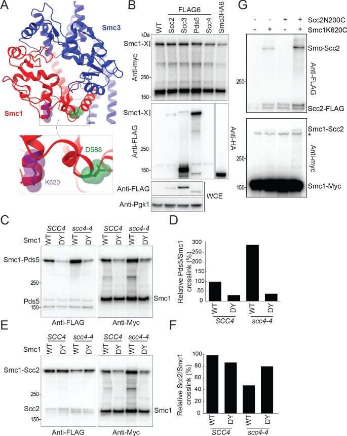 Figure 4.