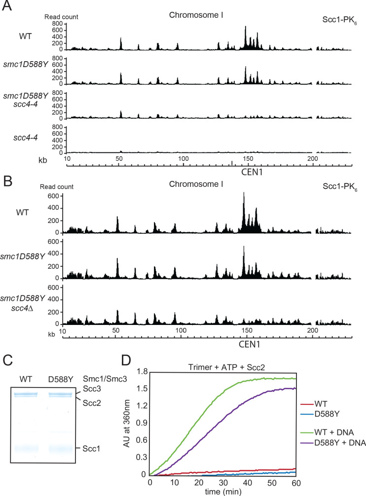 Figure 2—figure supplement 1.