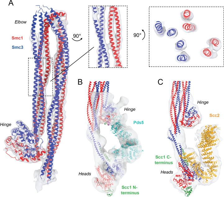 Figure 6—figure supplement 1.