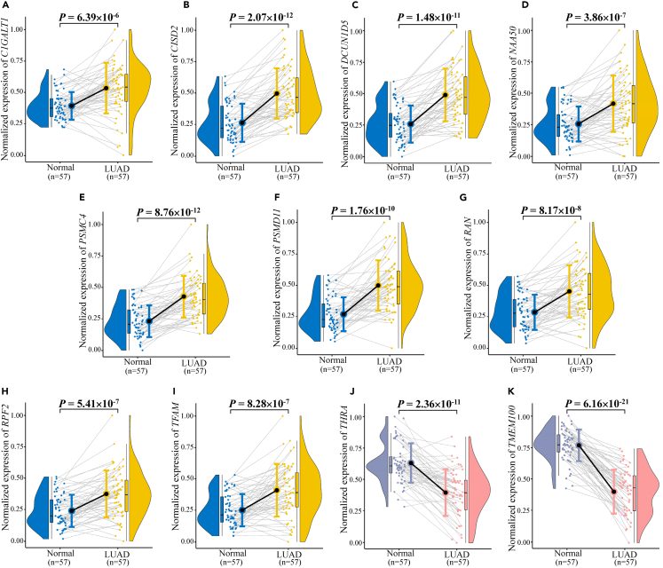 Figure 2