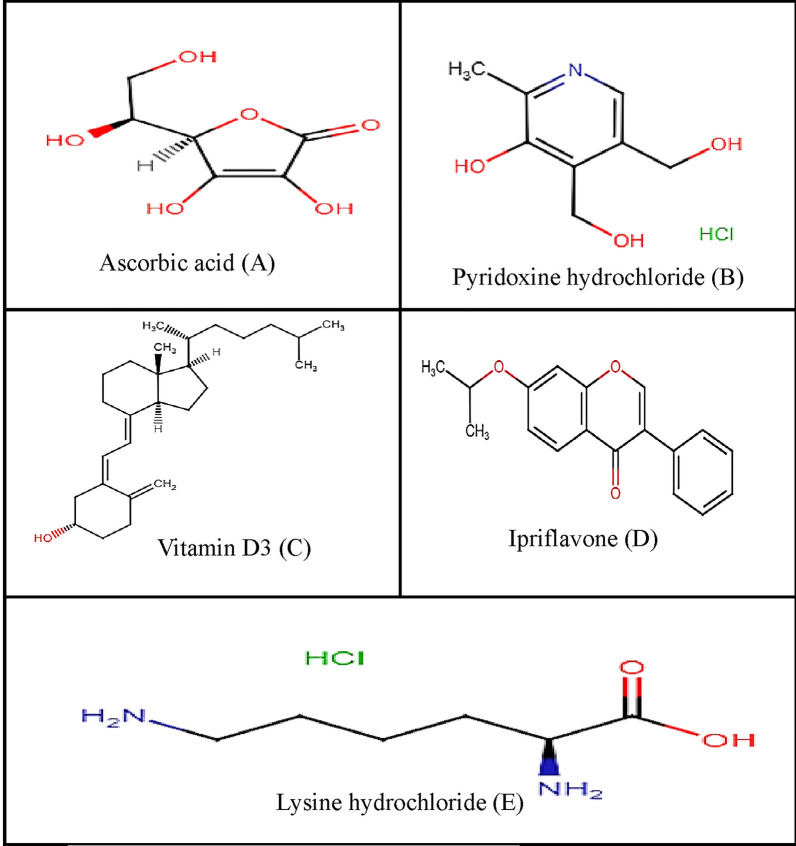 Fig. 1