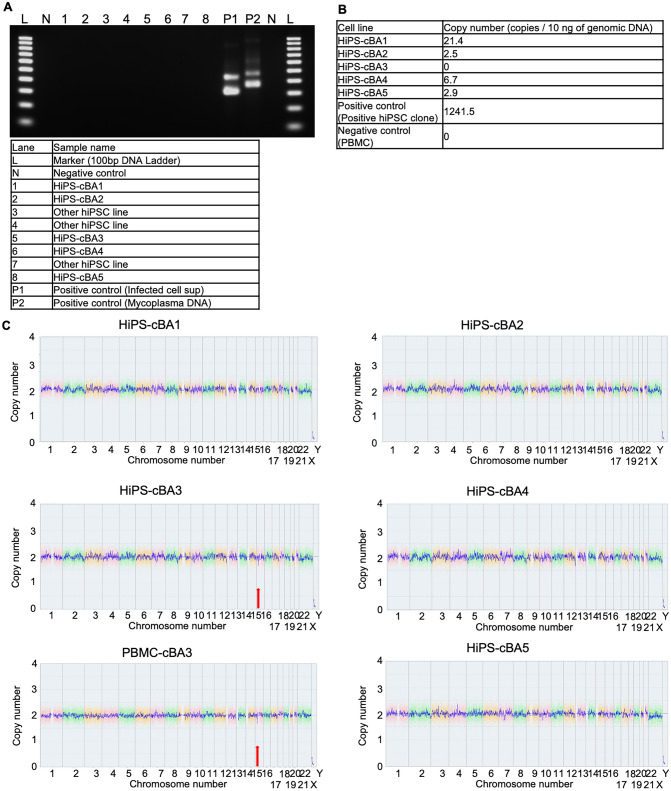 Fig. 3