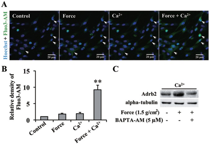 Figure 3.