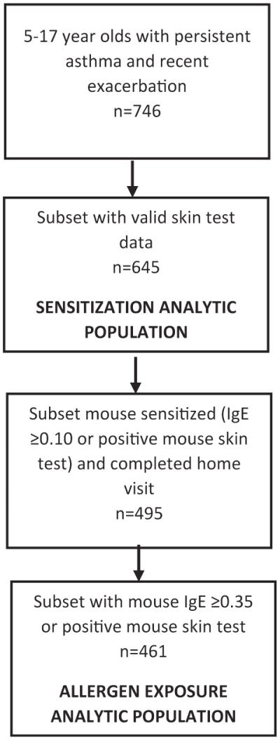 FIGURE 1